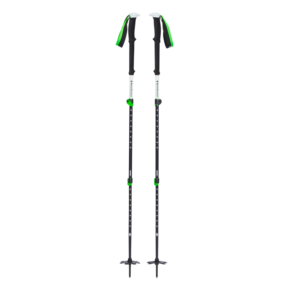 Black Diamond Expedition 3 Ski Poles - 2025