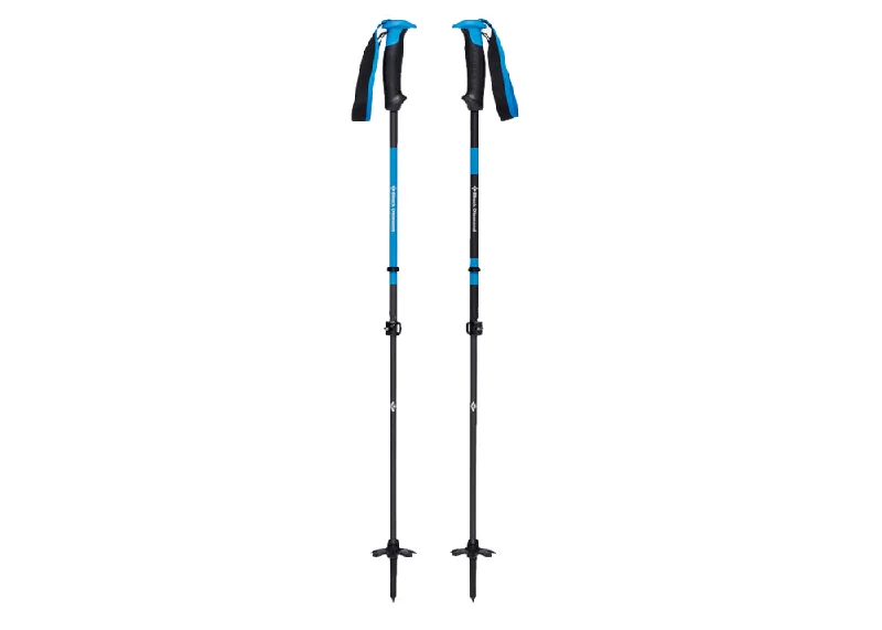 Razor Carbon Pro Ski Poles