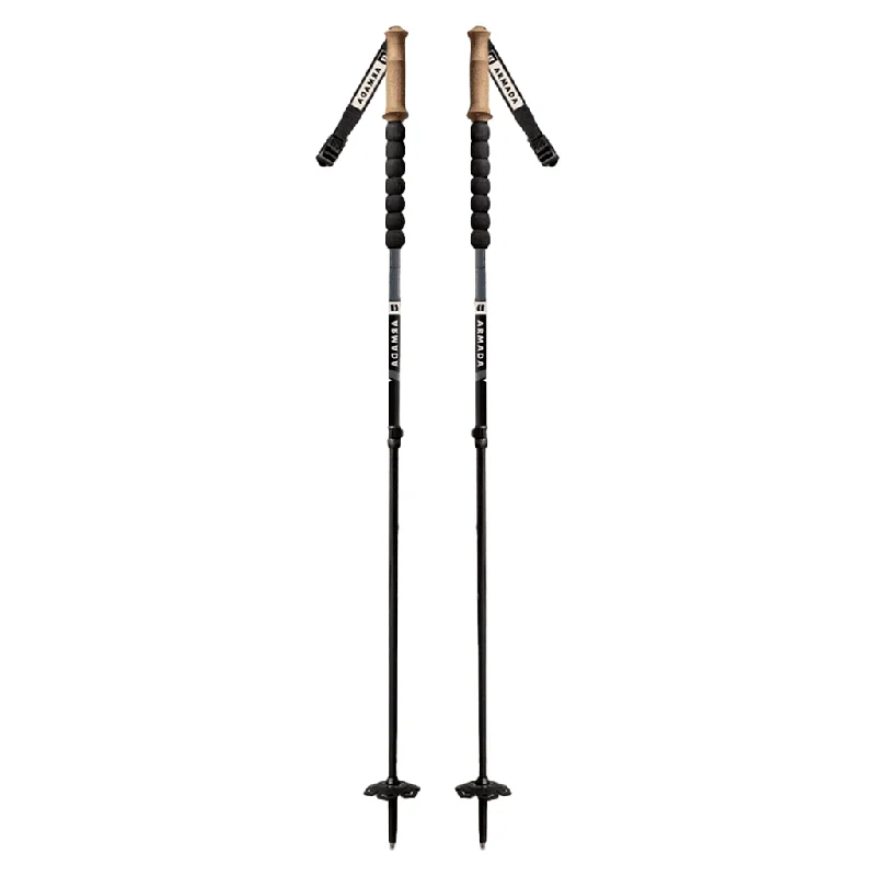 Carbon adjustable poles - Indigo / Black