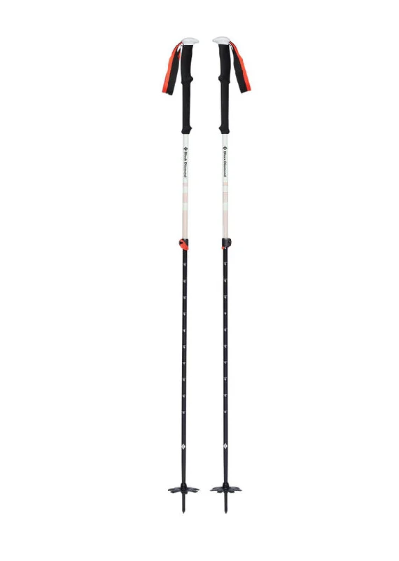 Expedition 2 Ski Poles