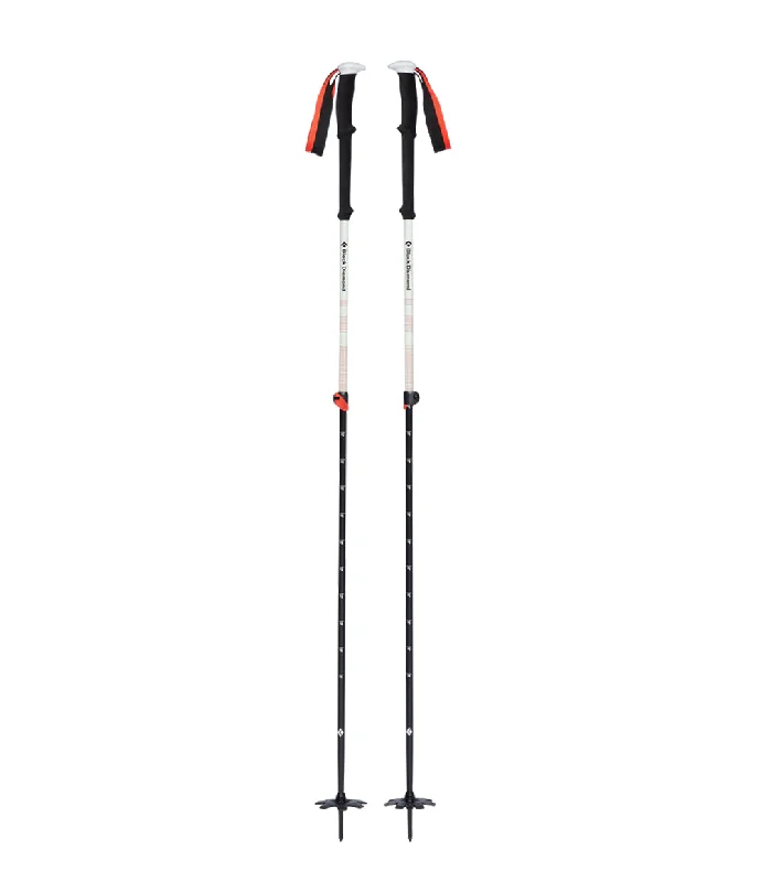 Expedition 2 Ski Poles