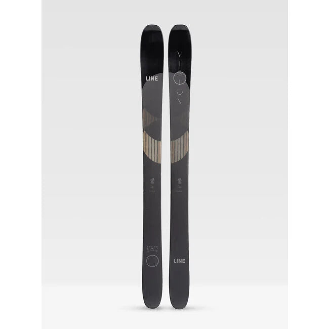 Vision 118 Skis 2022